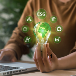 Imagem representativa